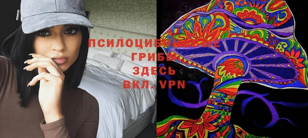 соль ск Зерноград