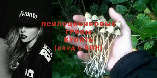 ешки Зеленодольск